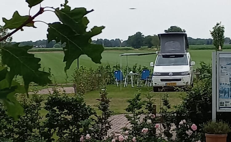 Volkswagen T5 California camper bus voor 4 pers.