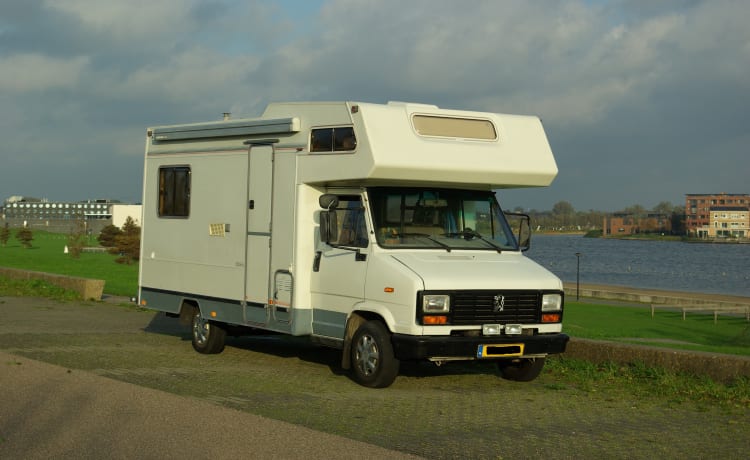 Camping-car Peugeot spacieux avec alcôve