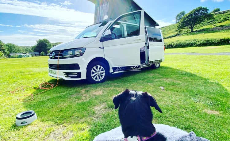 Eleanor  – Volkswagen T6 Highline LWB campervan 