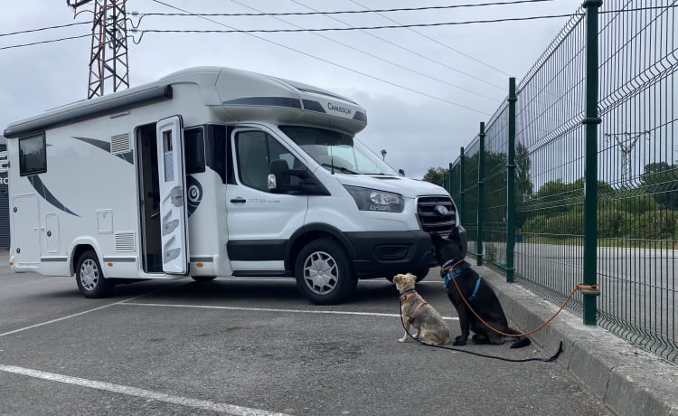 Chausson 4 personen semi-integrated van 2022