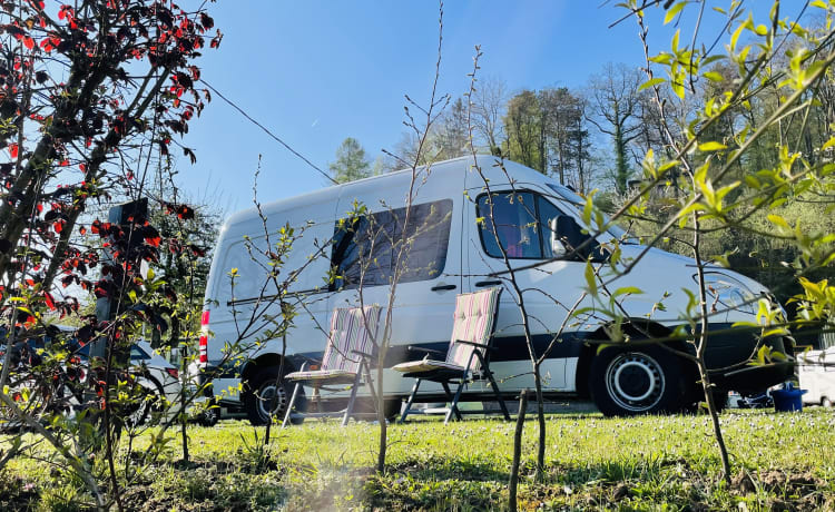 Benny_theBenz – Elegante Mercedes Sprinter Bus Camper