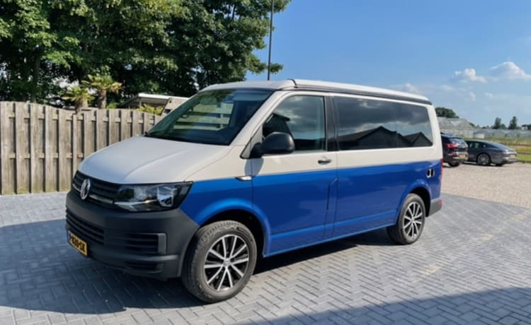 VW T6 Automaat – Aloha Beach Camper Blu