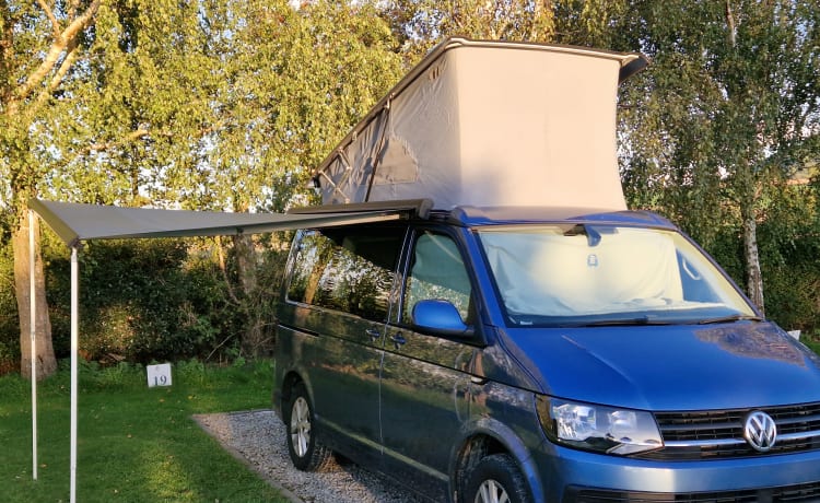 Callie – 4-persoons Volkswagen campervan uit 2018