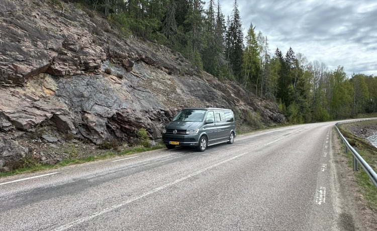 Hendrik – Camping-car Volkswagen 4p à partir de 2017