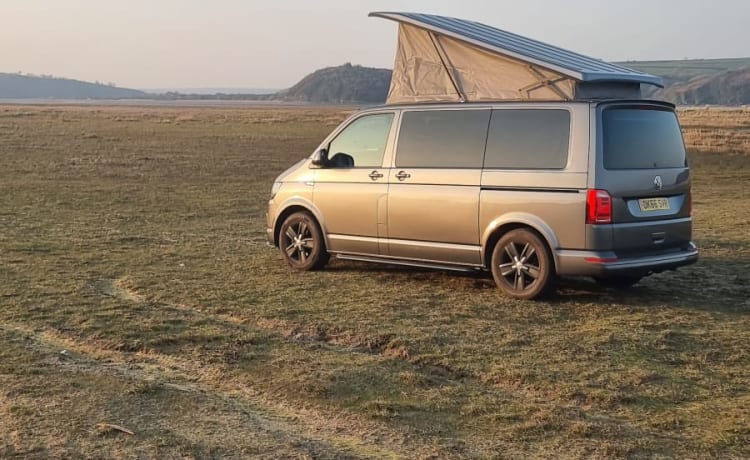 Marina – Camper VW T6 adatto alle famiglie e ai cani