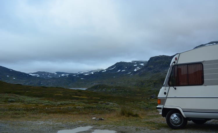 Heidi – Beautiful Classic Hymer