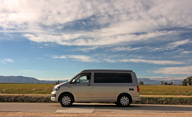 Tetto di sollevamento Volkswagen T6