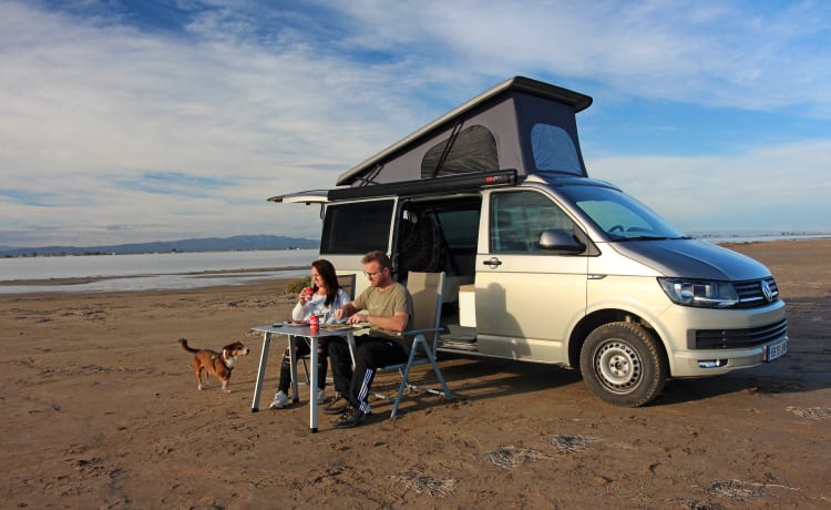 Tetto di sollevamento Volkswagen T6