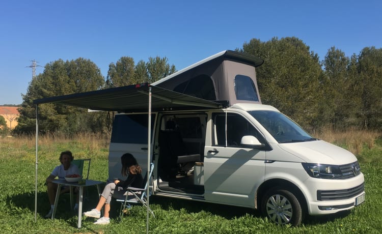 Volkswagen T6 pop up roof – Volkswagen T6 hefdak