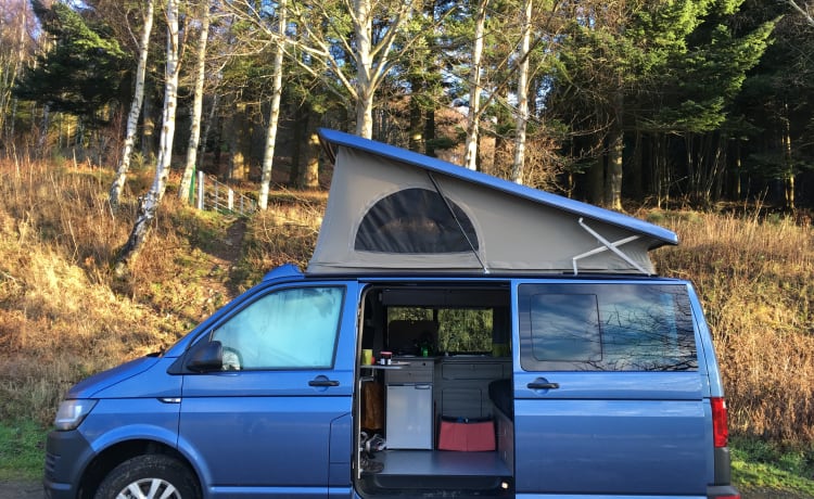 Skipper – Verken Schotland vanuit het centrum van Edinburgh