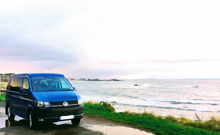 Skipper – Verken Schotland vanuit het centrum van Edinburgh