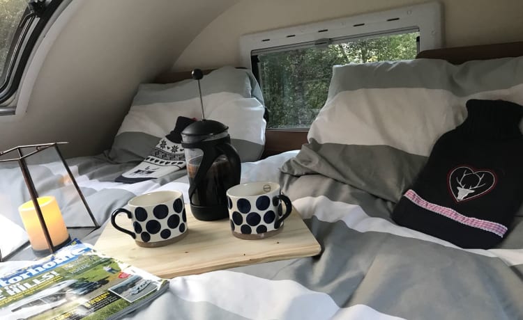 Jaggy Thistle – Jaggy Thistle Motorhome Hire no additional costs