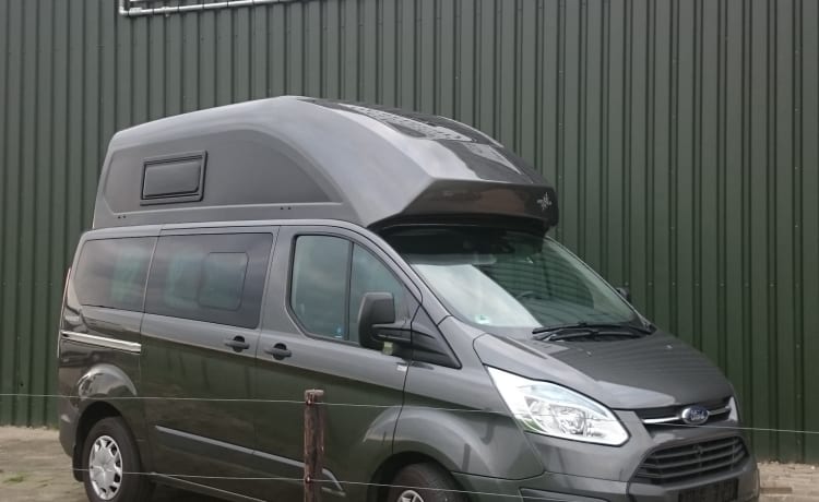 westfalia ford transit