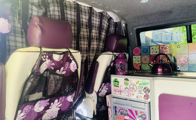 Adventure time in Violet 💜