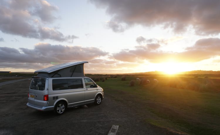 Luxe VW Sportieve Camper