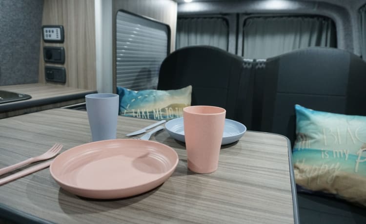 Luxe VW Sportieve Camper