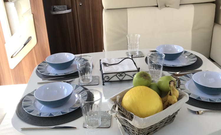 Freddy – Roller Team T Line 590 Sleeps 4