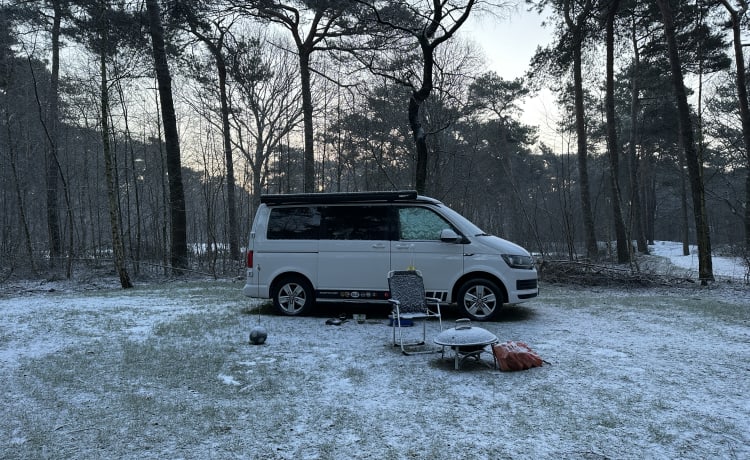 Maui – VW Transporter Camper 4p