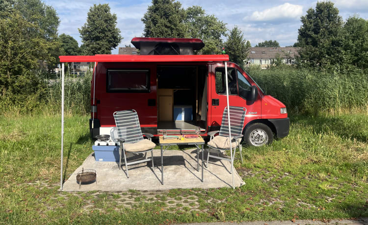 Betsie – Joli camping-car compact (nombreux kilomètres gratuits)