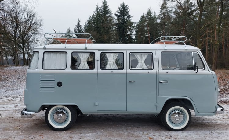 Volkswagen T2 van