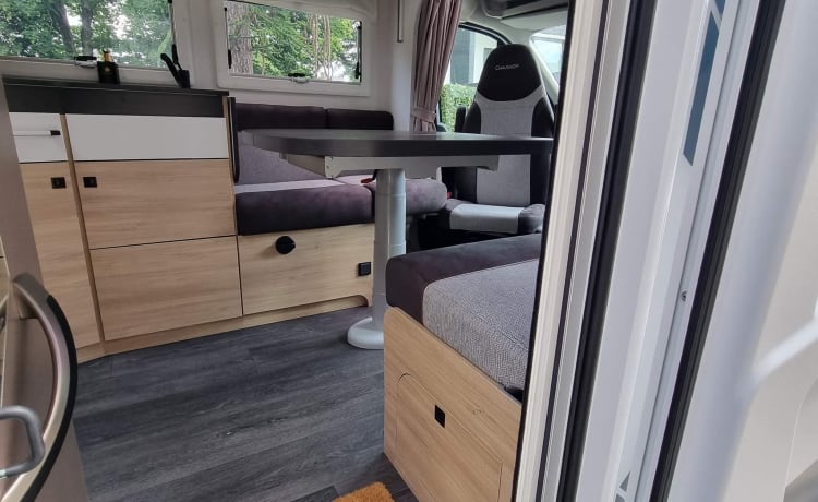 4p Chausson 777 von 2022