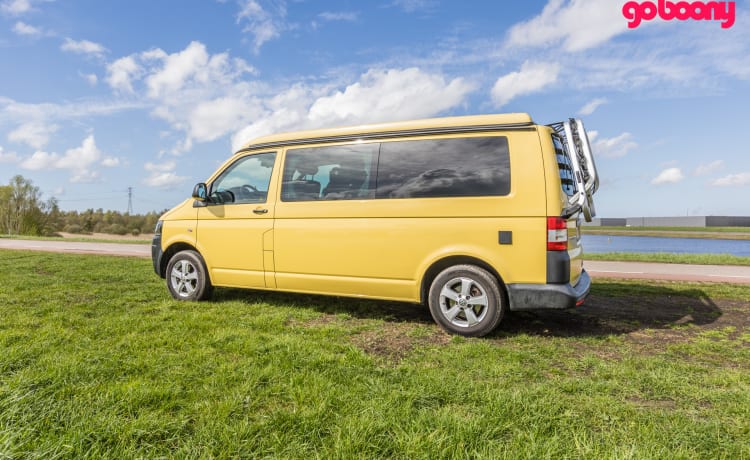 Sunny – 2p Volkswagen bus from 2015