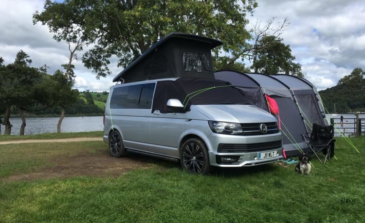 4 berth Volkswagen campervan from 2016