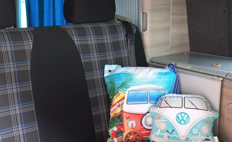 Camping-car Volkswagen T5 California pour 4 pers.