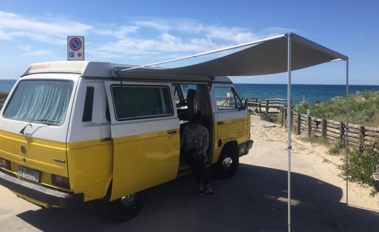 Vintage in Freiheit - T3 Westfalia