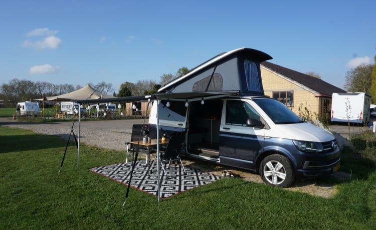 4 person Volkswagen T6 camper from 2023