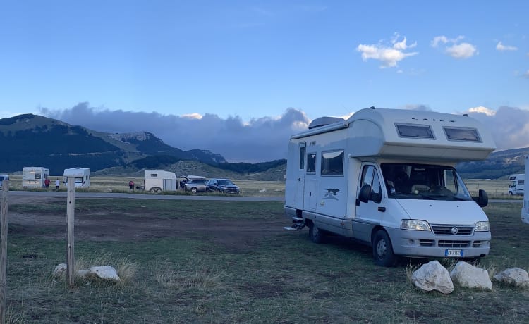 Rinus – Dachbodencamper Laika Ecovip 2.1