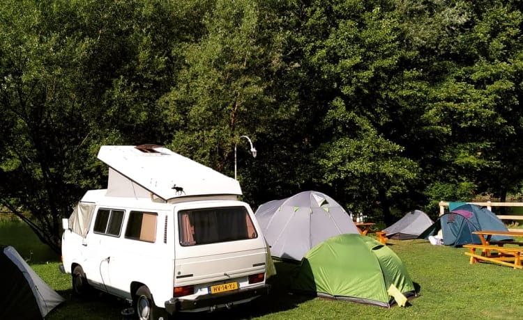 Zwaantje – Camper Volkswagen 4p del 1982