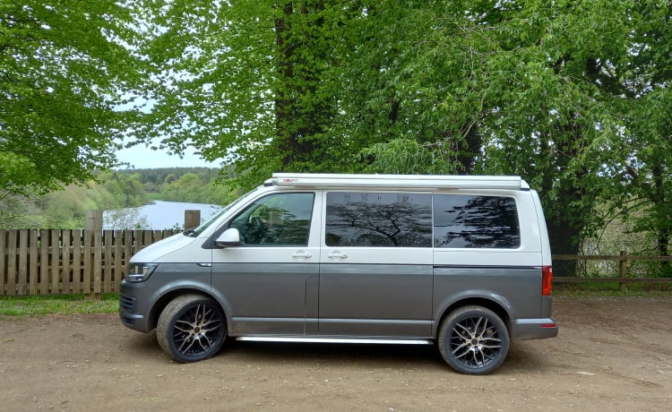 Mavis – Pas omgebouwde Volkswagen-camper met 4 slaapplaatsen