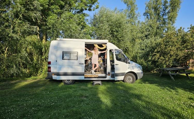 Balsem Bus – 2er-Mercedes-Benz-Bus aus dem Jahr 2007