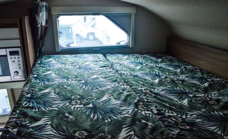 Premium – Premium camperverhuur in Upminster