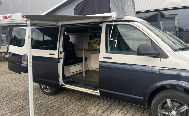 Jimmy – Practical family camper 