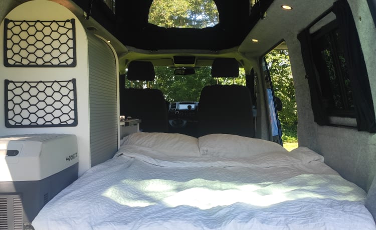 Tough Volkswagen T5 bus camper for 2-4 people