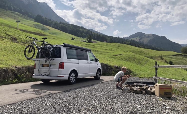 Cali  – Volkswagen California T6 (camper di fabbrica, originale)