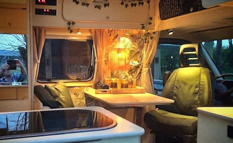 Safari – Bus compatto camper Safari (incl. assicurazione contro tutti i rischi a € 23,60 al giorno)