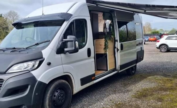 Fifi – Fiat Ducato 3 posti letto 2020 