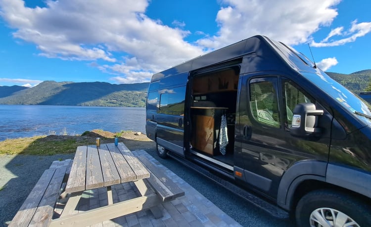 Atmospheric king-size bus camper for adventurous people