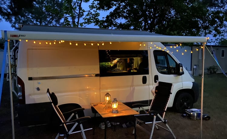 Willem – Willem - Cozy bus camper!