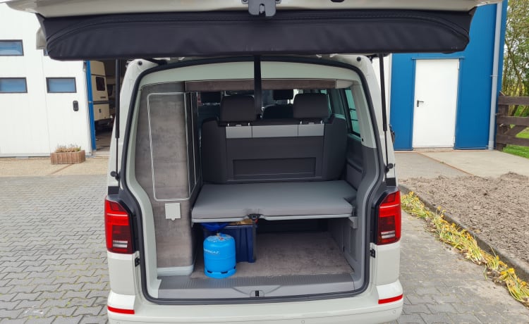 VW T6.1 California Ocean automaat – Molto, lussuosa, bellissima VW T6.1 California Ocean con tetto sollevabile dal 2021