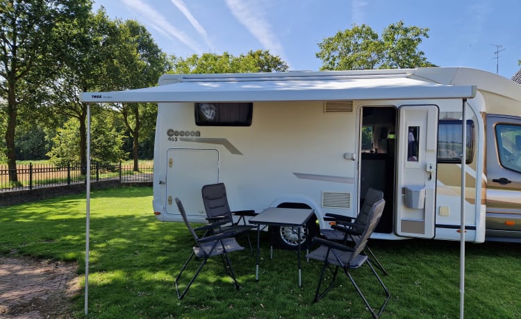 Benimar Cocoon – Beau et luxueux camping-car 4/5 pers avec porte-vélos