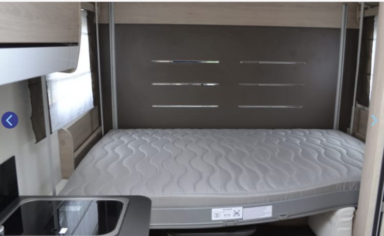 Sheddie – Chausson semi-integrato a 4 posti letto dal 2020