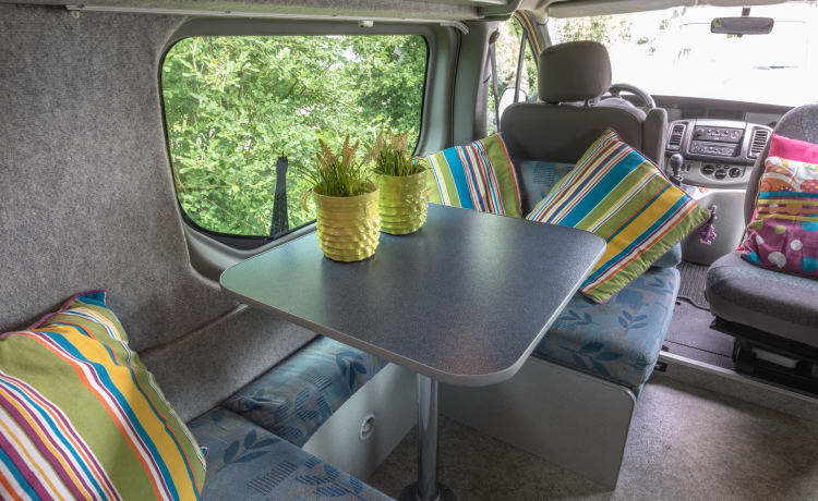 Type 5 – Compacte All seasons camper