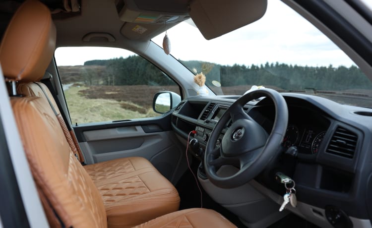Marigold – Blooming Lovely - 4 berth Volkswagen