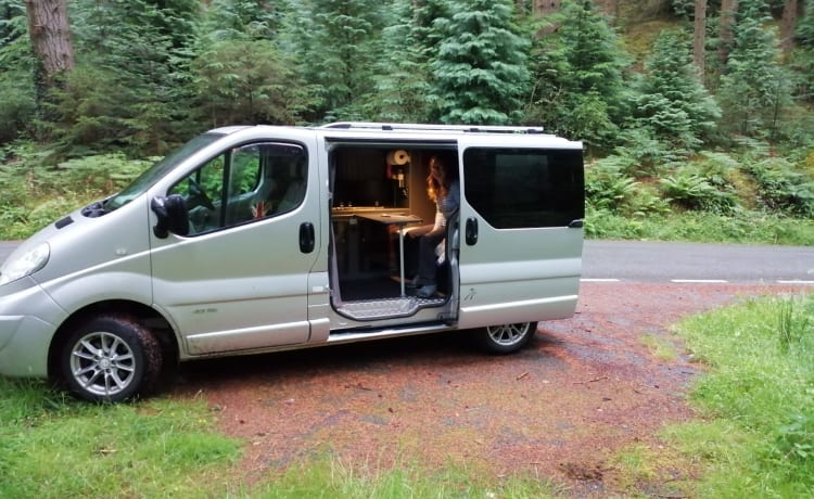 Binky – Nissan-camper met 2 slaapplaatsen uit 2008