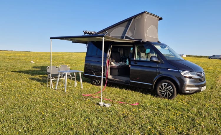 Coastal Van Ventures – Volkswagen Campervan mit 4 Schlafplätzen ab 2023