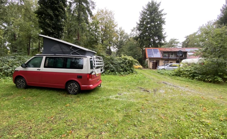 De ultieme camper: een vrijwel nieuwe Volkswagen California T6.1